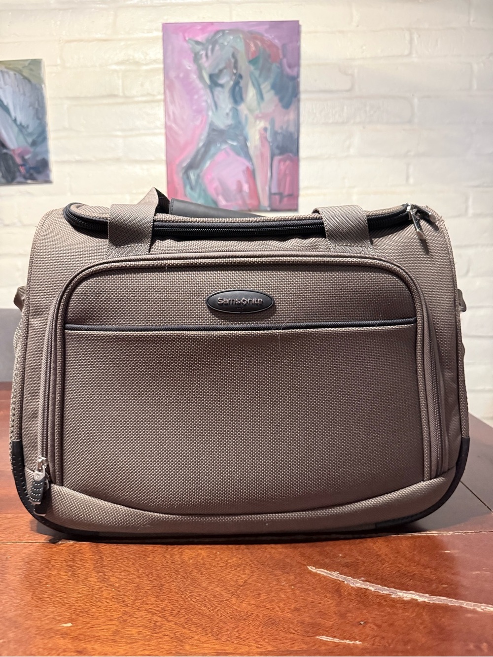 Samsonite Travel  Bag in Dusty Olive
